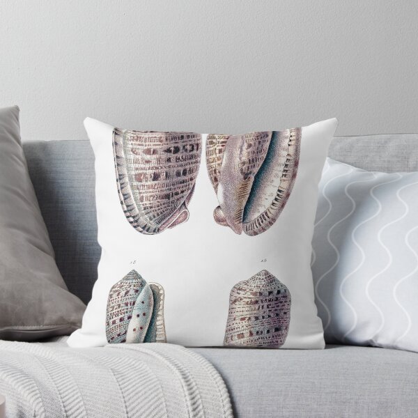 Item preview, Sea Shells Antique Old Illustration designed and sold by simpson92.