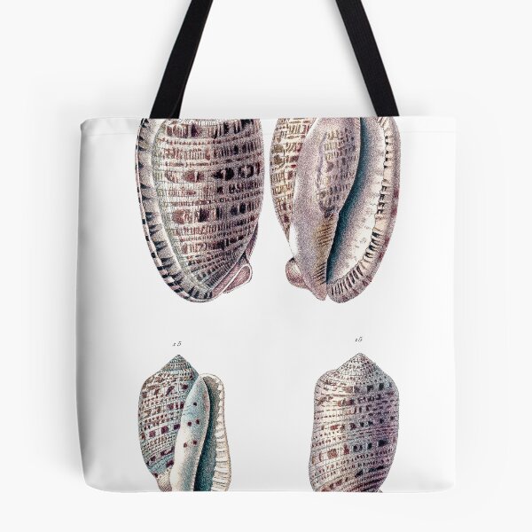 Item preview, Sea Shells Antique Old Illustration designed and sold by simpson92.