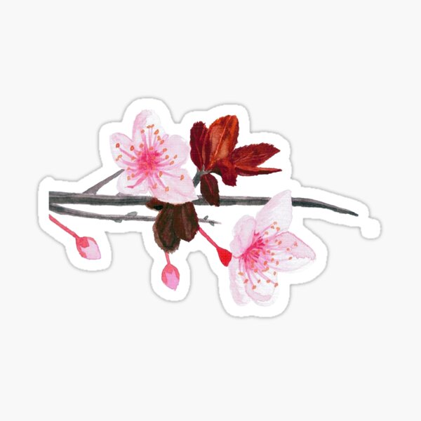 "Cherry Blossom Branch" Sticker for Sale by EmJayK Redbubble