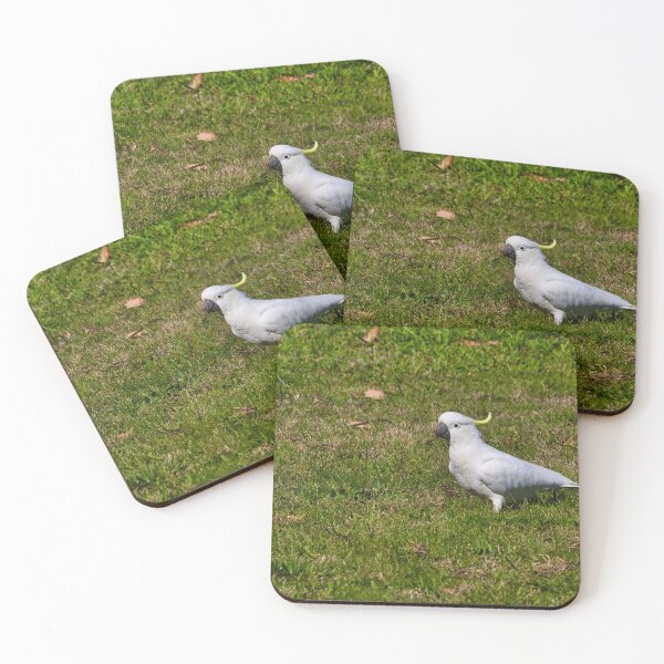 Item preview, Sulfur Crested Cockatoo - Australia  designed and sold by StevenRalserPhoto.
