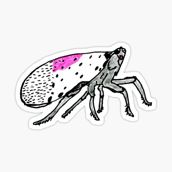 Item preview, Spotted Lanternfly designed and sold by RunFool.