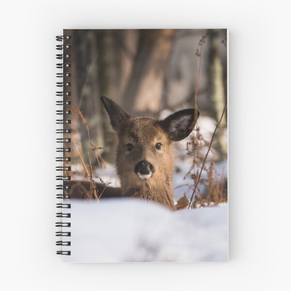 Item preview, Young Deer designed and sold by HectorCantres.
