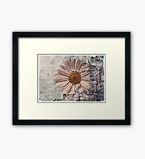 Another Decayed Flower! Framed Print