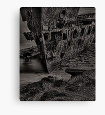 Firmly grounded Canvas Print