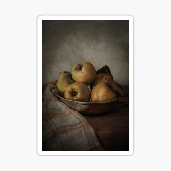 Still life with fresh quinces Sticker