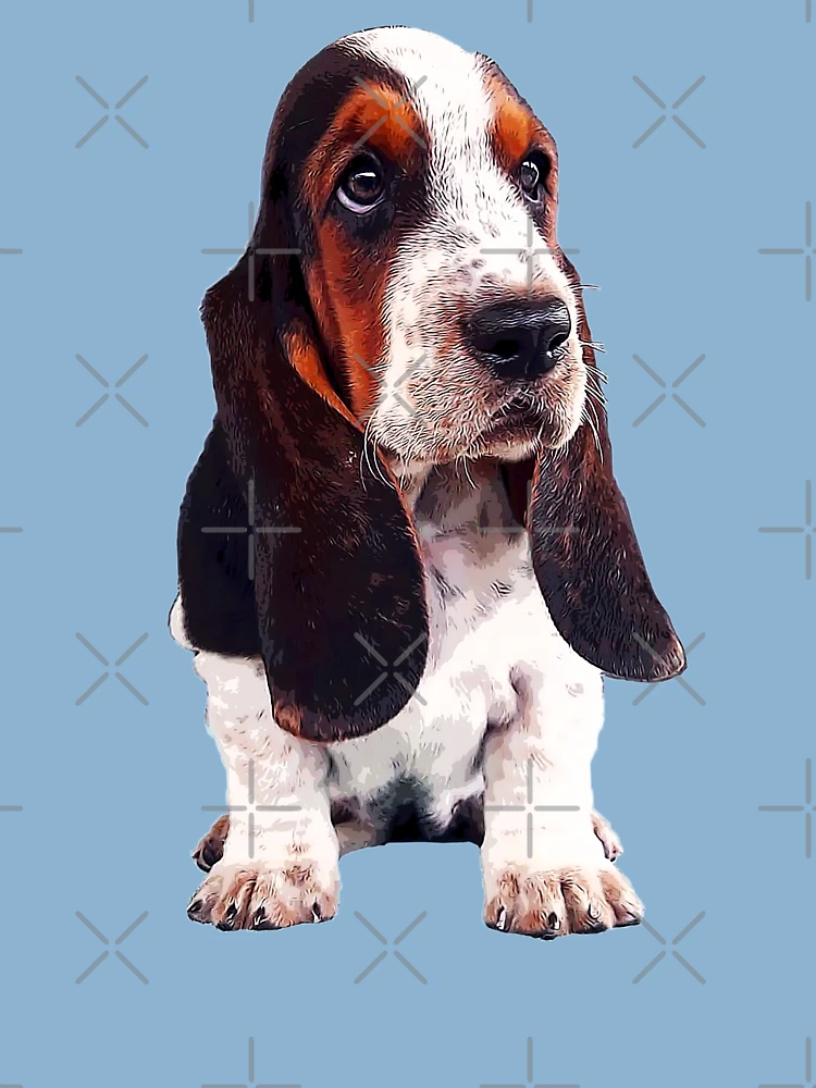 Camisa CACHORRO BASSET HOUND - LET'S GO FOR A WALK