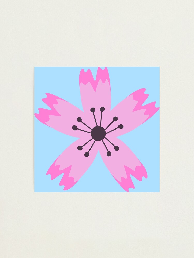 Alternate view of Pink sakura flower Photographic Print