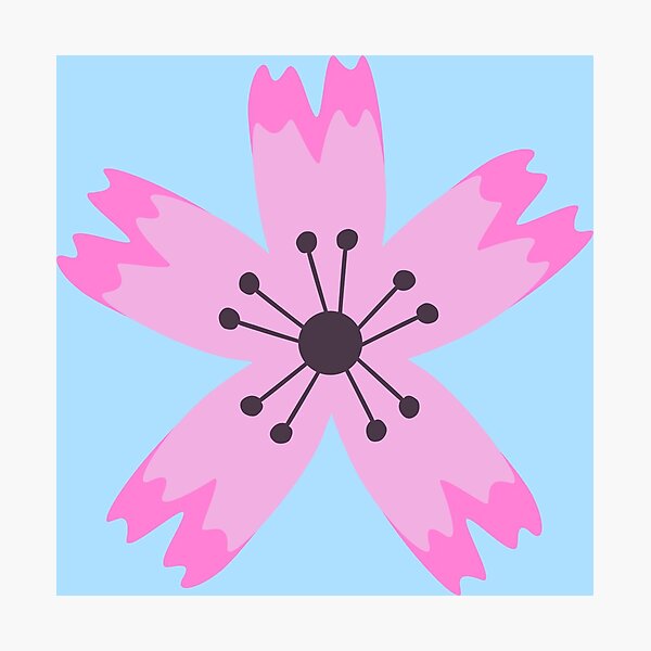 Pink sakura flower Photographic Print