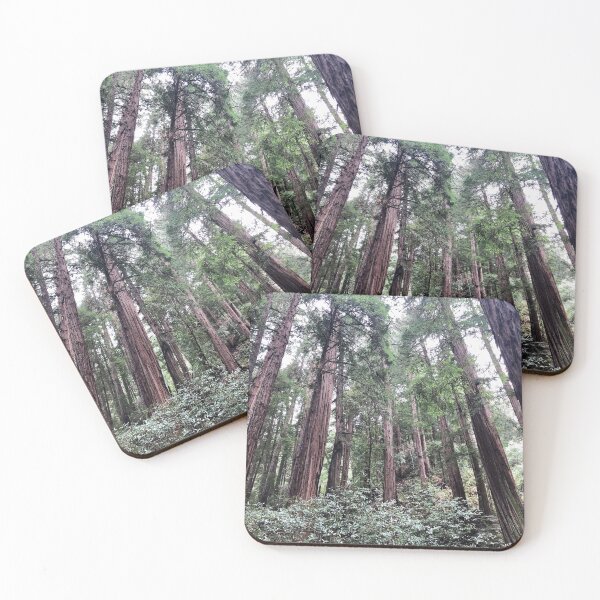Item preview, Muir Woods designed and sold by jcooper10.
