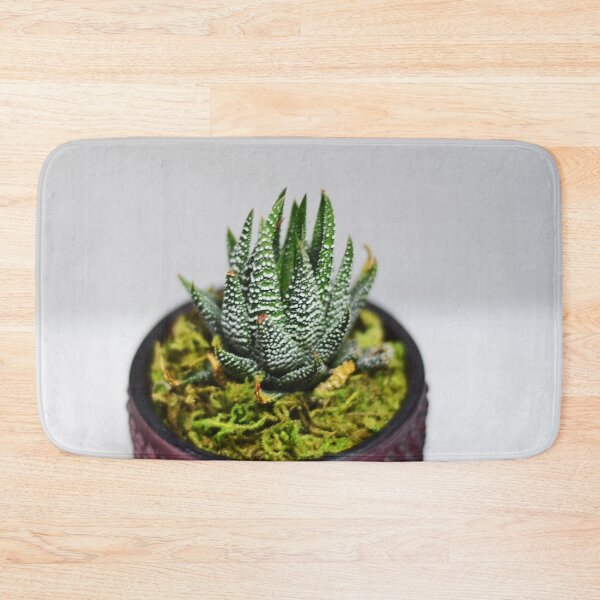 Item preview, Zebra plant haworthia  designed and sold by Asiantiger247.