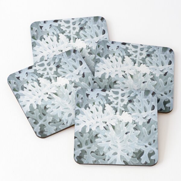 Item preview, Dusty Miller designed and sold by Scott Dovey.