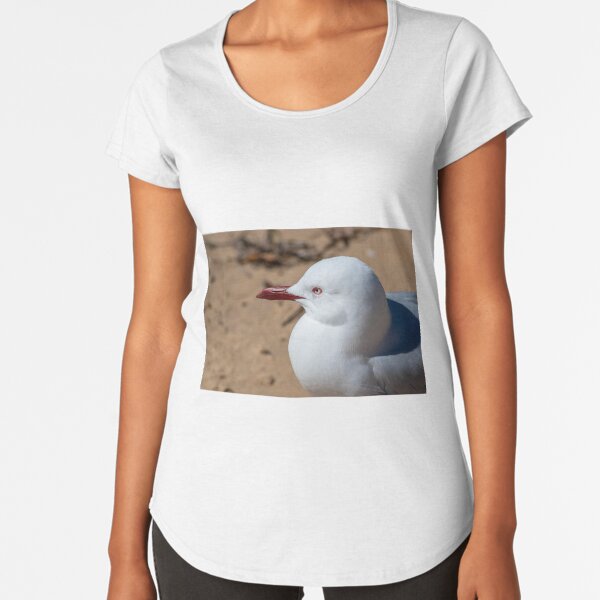 Seagull on the Sand at Pearl Beach Australia Premium Scoop T-Shirt