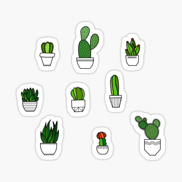 Mini succulents Sticker for Sale by Morganmiller314