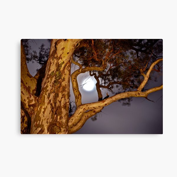 Item preview, Midnight at Govetts Leap. designed and sold by Warren  Patten.