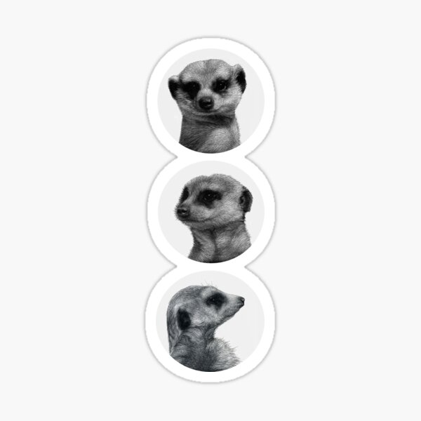 Meerkats! Sticker