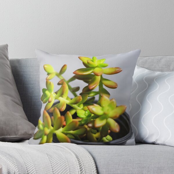 Item preview, Sedum succulent  designed and sold by Asiantiger247.