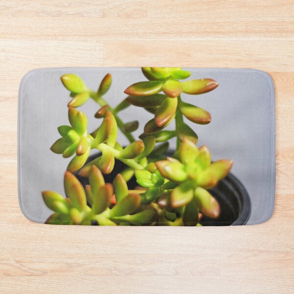 Item preview, Sedum succulent  designed and sold by Asiantiger247.