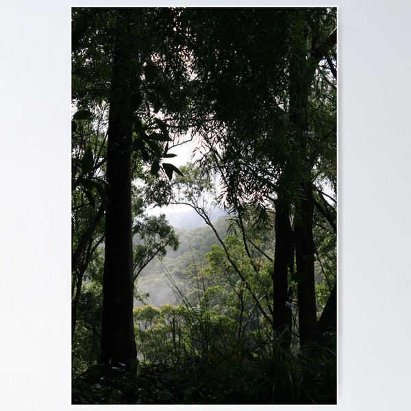 Item preview, Foggy Morning in the Valley designed and sold by Robyn J. Blackford.