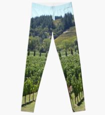 Napa Valley Vineyard Leggings