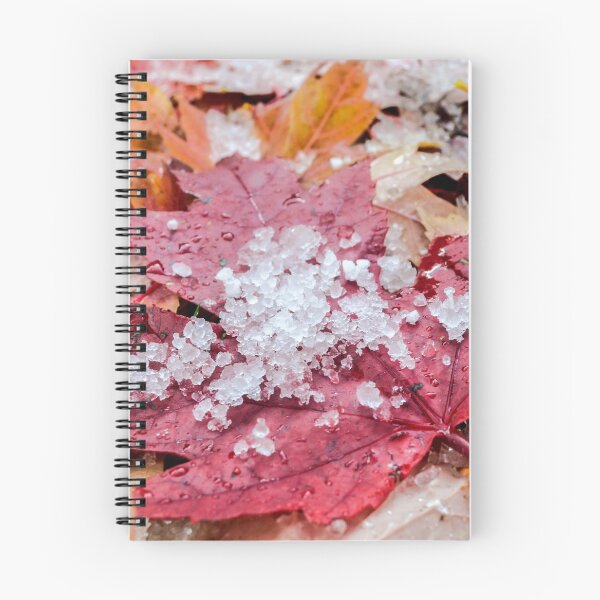 Item preview, Maple Leaves in Snow designed and sold by Mary Kayser.