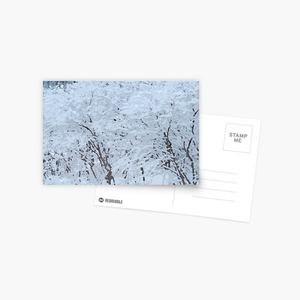 Snowy Weight Postcard