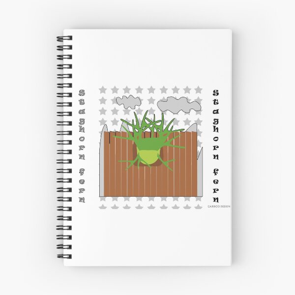 Item preview, Staghorn fern designed and sold by Cariboo Design.