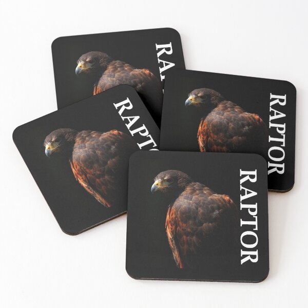 Item preview, RAPTOR designed and sold by Wild One.