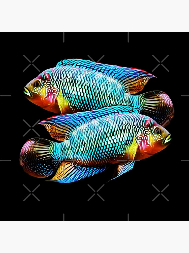 Discover Jack Dempsey Cichlid Big Fish Tank Keepers Aquarium Breeders Gift Premium Matte Vertical Poster