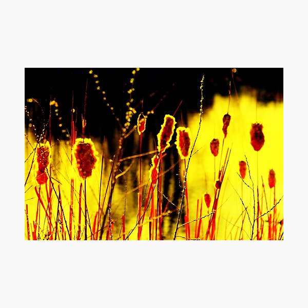 Item preview, sunset light... designed and sold by Marianna Tankelevich.