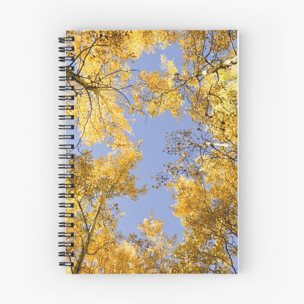 Item preview, Through the Aspens designed and sold by Mary Kayser.