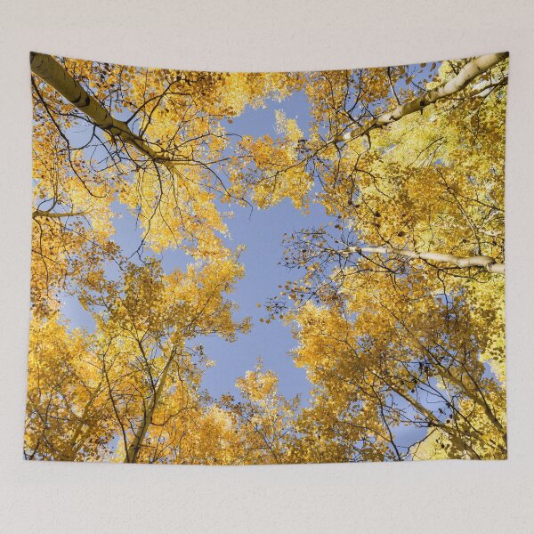 Item preview, Through the Aspens designed and sold by Mary Kayser.