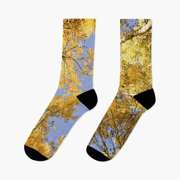 Item preview, Through the Aspens designed and sold by Mary Kayser.