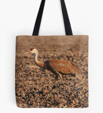 Sandhill Crane in Field Tote Bag