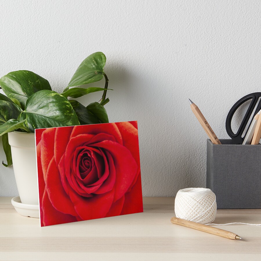 Item preview, Art Board Print designed and sold by elainebawden.