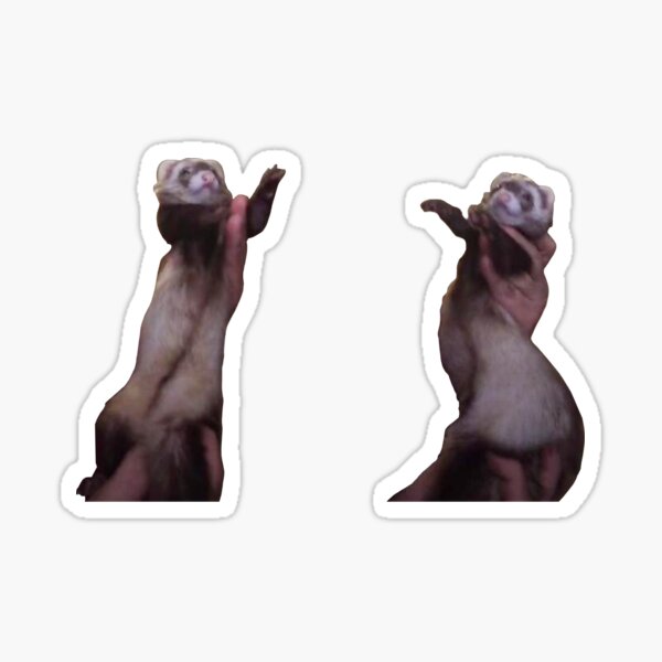 Buttercup Dancing Ferret meme Sticker