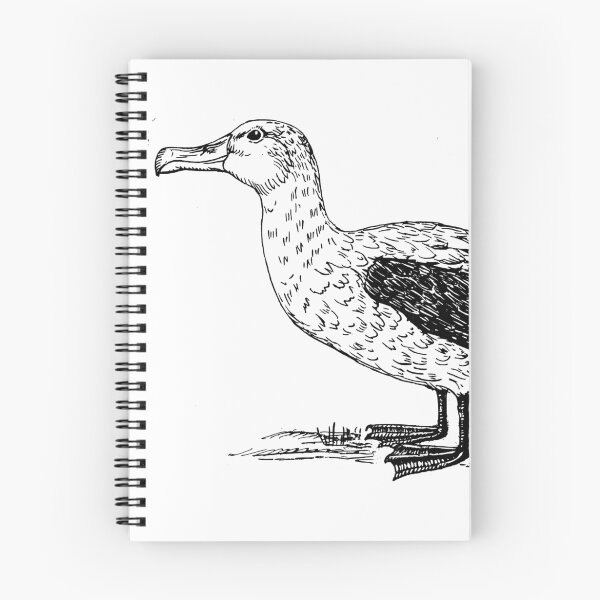 Item preview, Albatross Bird Art designed and sold by goldenmenagerie.