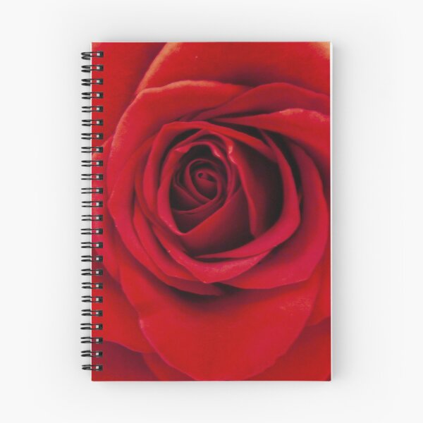 Item preview, RED ROSE MACRO designed and sold by Elaine Bawden.