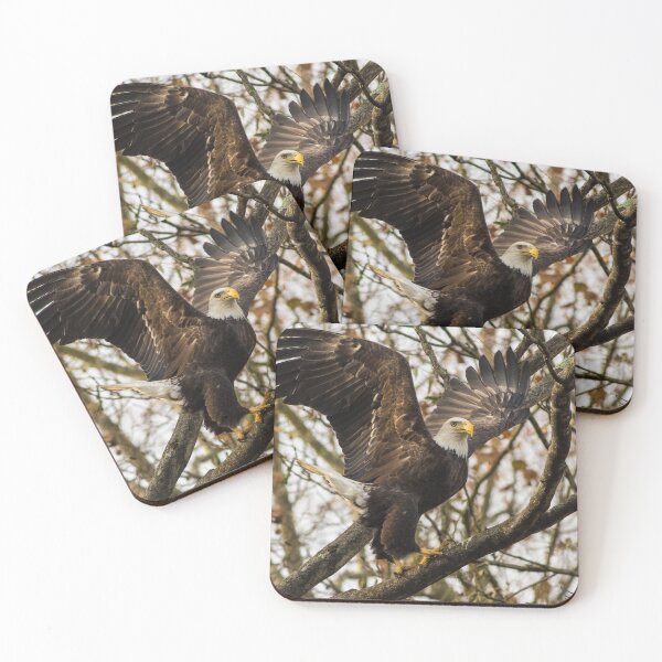 Item preview, Eagle Strikes a Pose designed and sold by Keyemphoto.