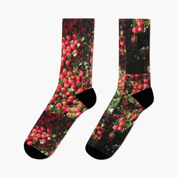 Item preview, Cotoneaster Berries designed and sold by lezvee.