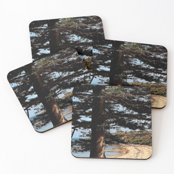 Item preview, A Norfolk Island Pine on Norfolk Island designed and sold by myraj.