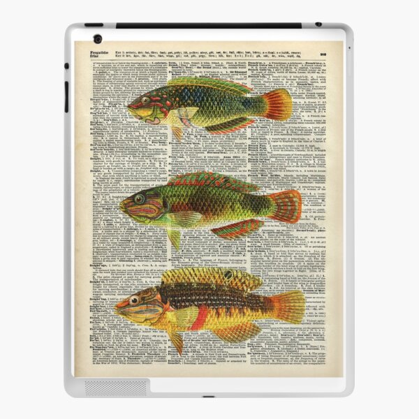 Colorful Fishes Over Old Encyclopedia Page Photographic Print for