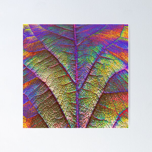 Item preview, Equinox II_No.3 designed and sold by graphicscapes.