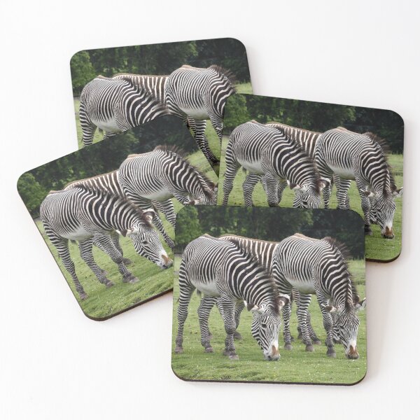 Item preview, Three Zebra's !! designed and sold by AnnDixon.