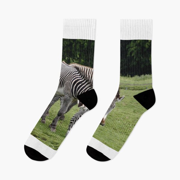 Item preview, Three Zebra's !! designed and sold by AnnDixon.