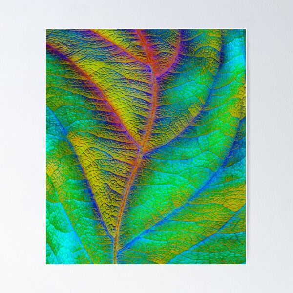 Item preview, Equinox I_No.1 designed and sold by graphicscapes.
