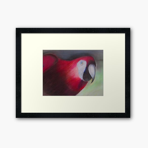 Grande figura decorativa pared pájaro loro ara rojo pared decoración subtropical exótico Grande figura decorativa pared pájaro loro ara rojo pared decoración subtropical exótico