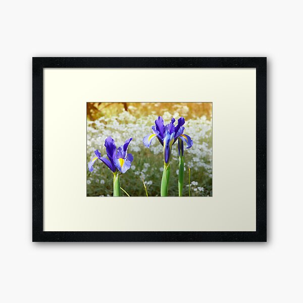 Item preview, blue irises in the park designed and sold by tego53.