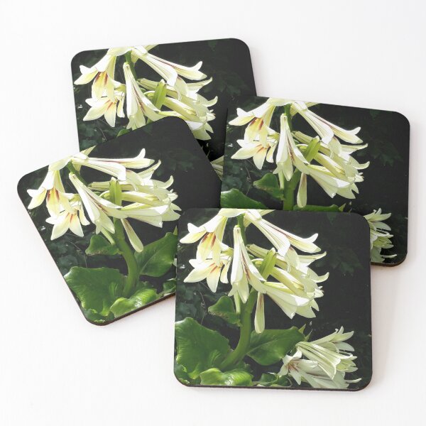 Item preview, Mt Peel Lily designed and sold by coffeebean.
