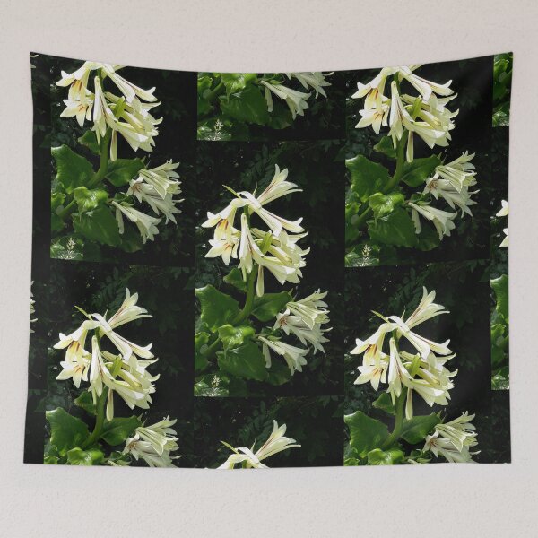 Item preview, Mt Peel Lily designed and sold by coffeebean.
