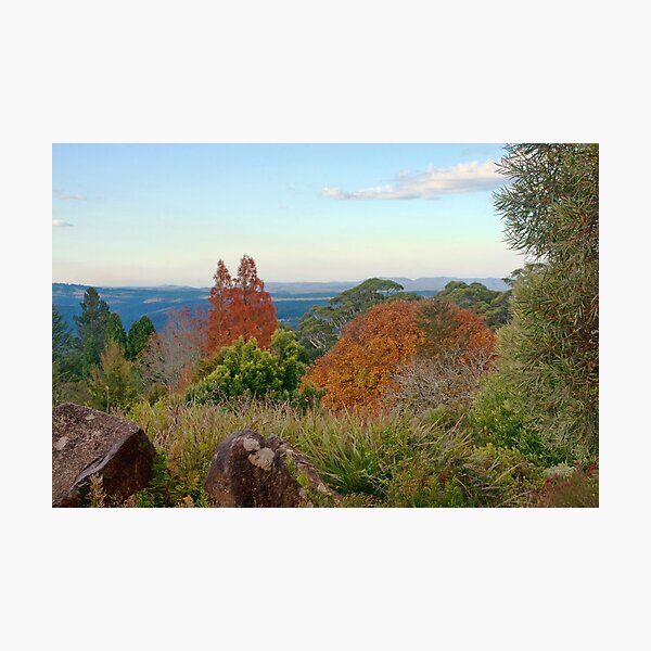 Item preview, Blue Mountains Botanic Garden, Mt Tomah designed and sold by jayneeldred.